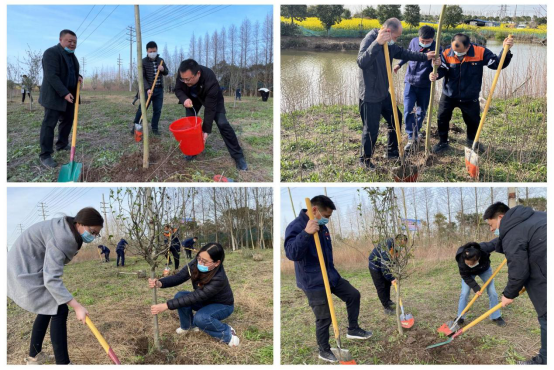 交通产业集团如皋港板块开展“春风又绿江岸,绿色发展同行”主题党日活动